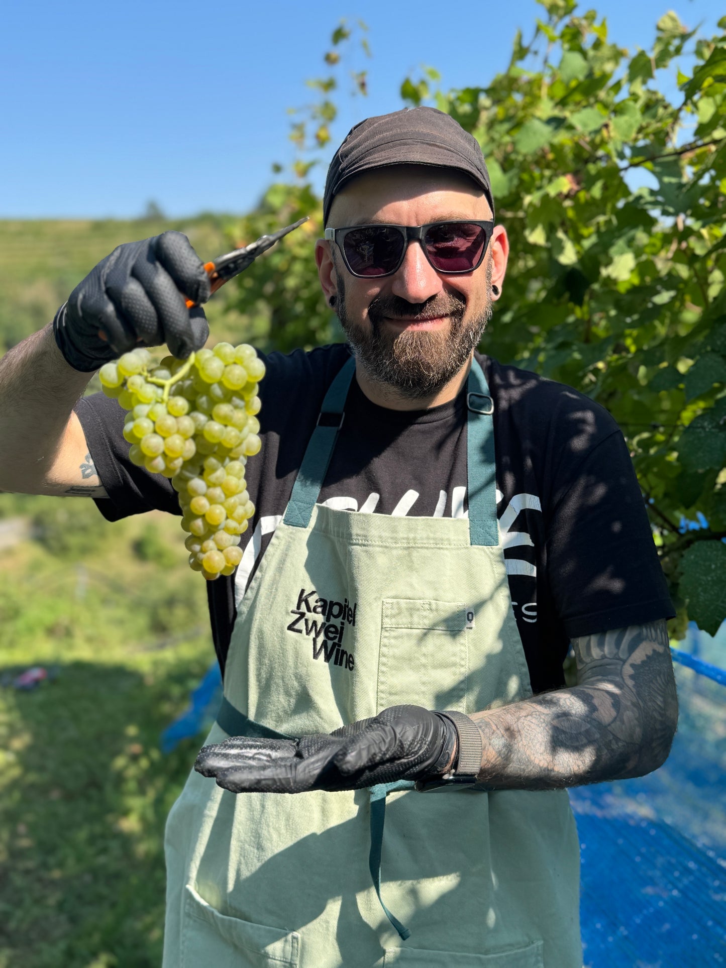 2024 Dilemma - Kapitel Zwei Wine