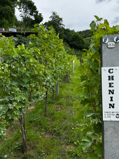 2025 Endlich - Kapitel Zwei Wine (500ml)