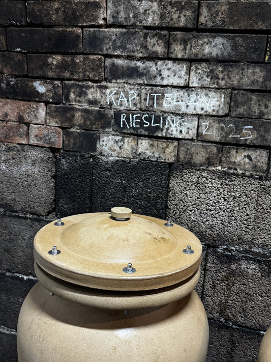 2025 Tummel Di - Kapitel Zwei Wine (500ml)